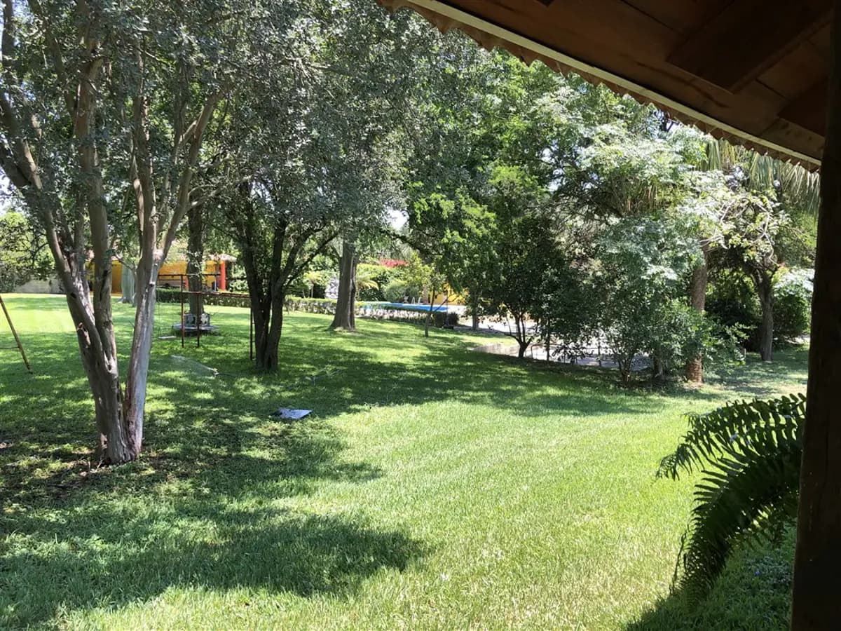 Fotos adicionales