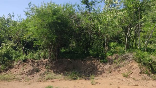 Terreno en Venta en El Barrial, Santiago, Nuevo León