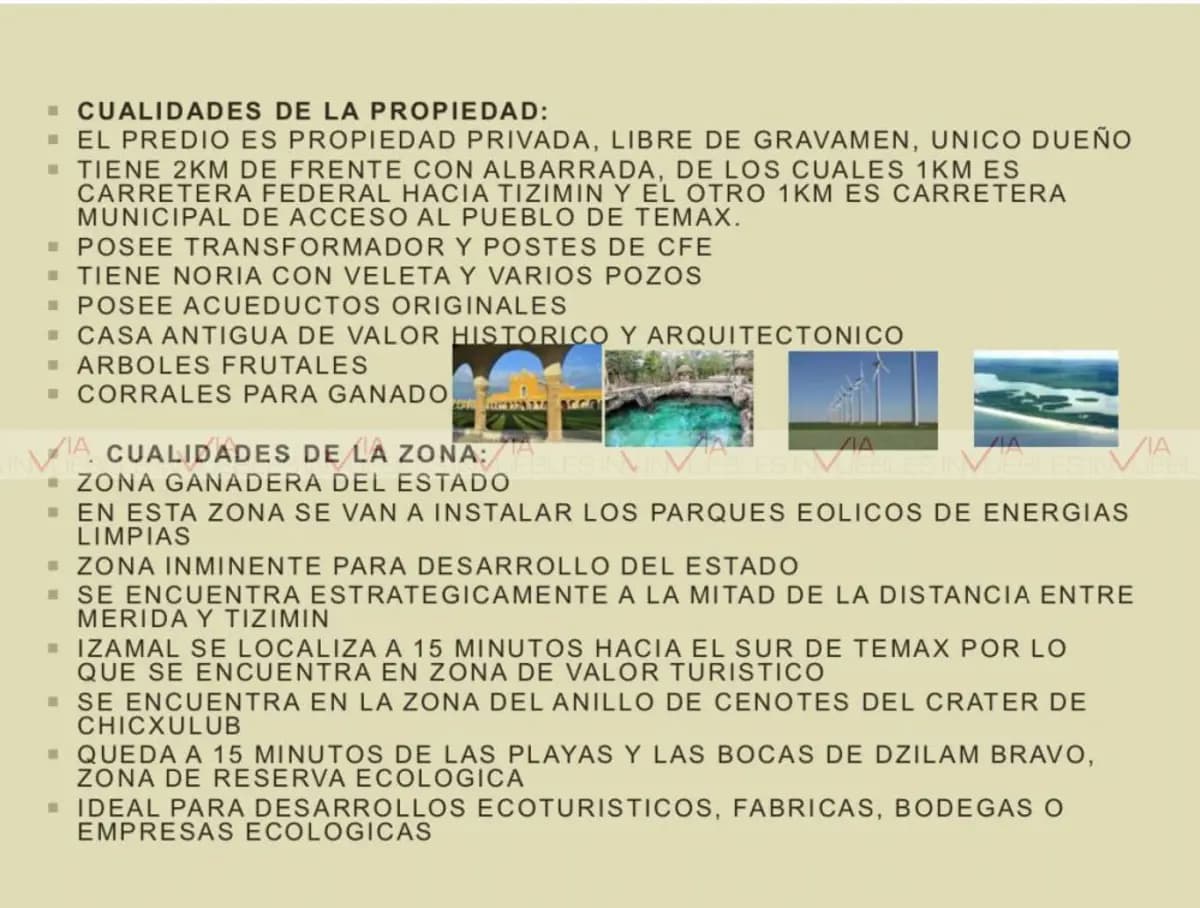 Fotos adicionales