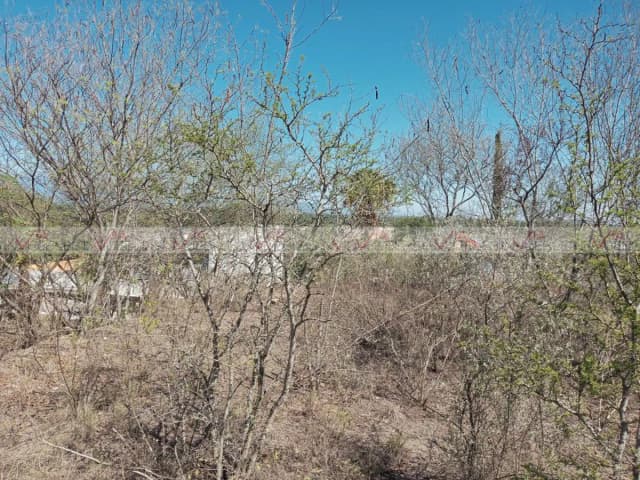 Terreno en Venta en Montemorelos Centro, Montemorelos, Nuevo León