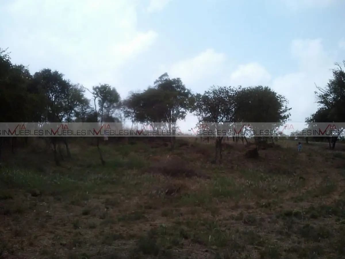 Fotos adicionales
