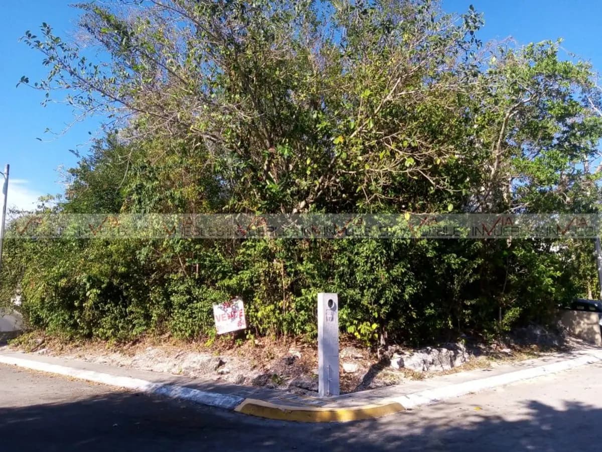 Fotos adicionales