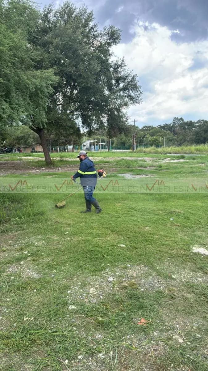 Fotos adicionales