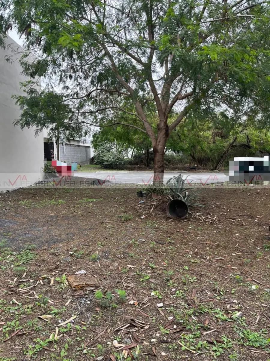 Fotos adicionales