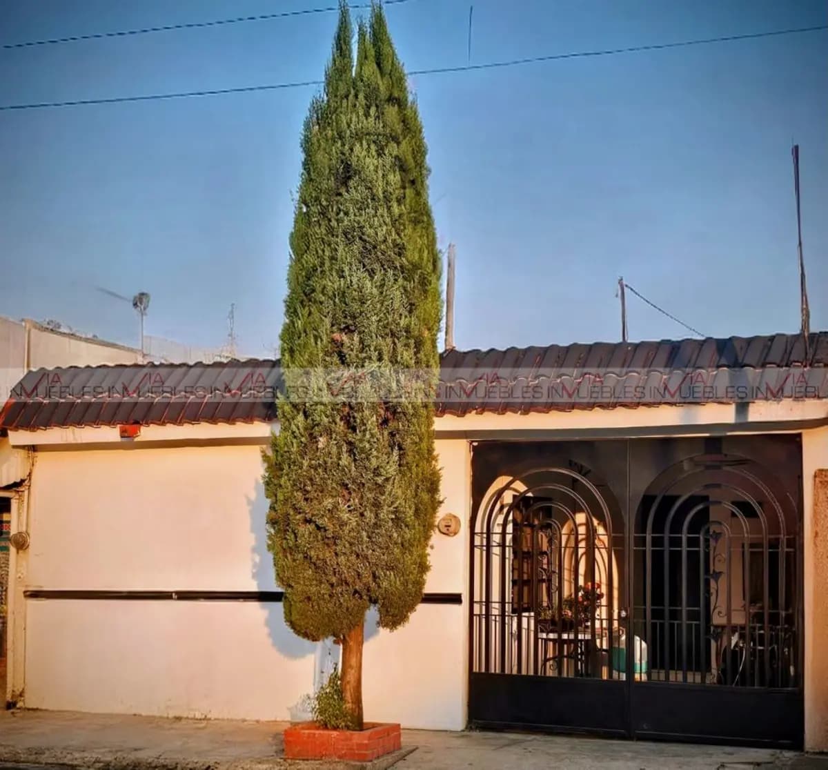 Fotos adicionales