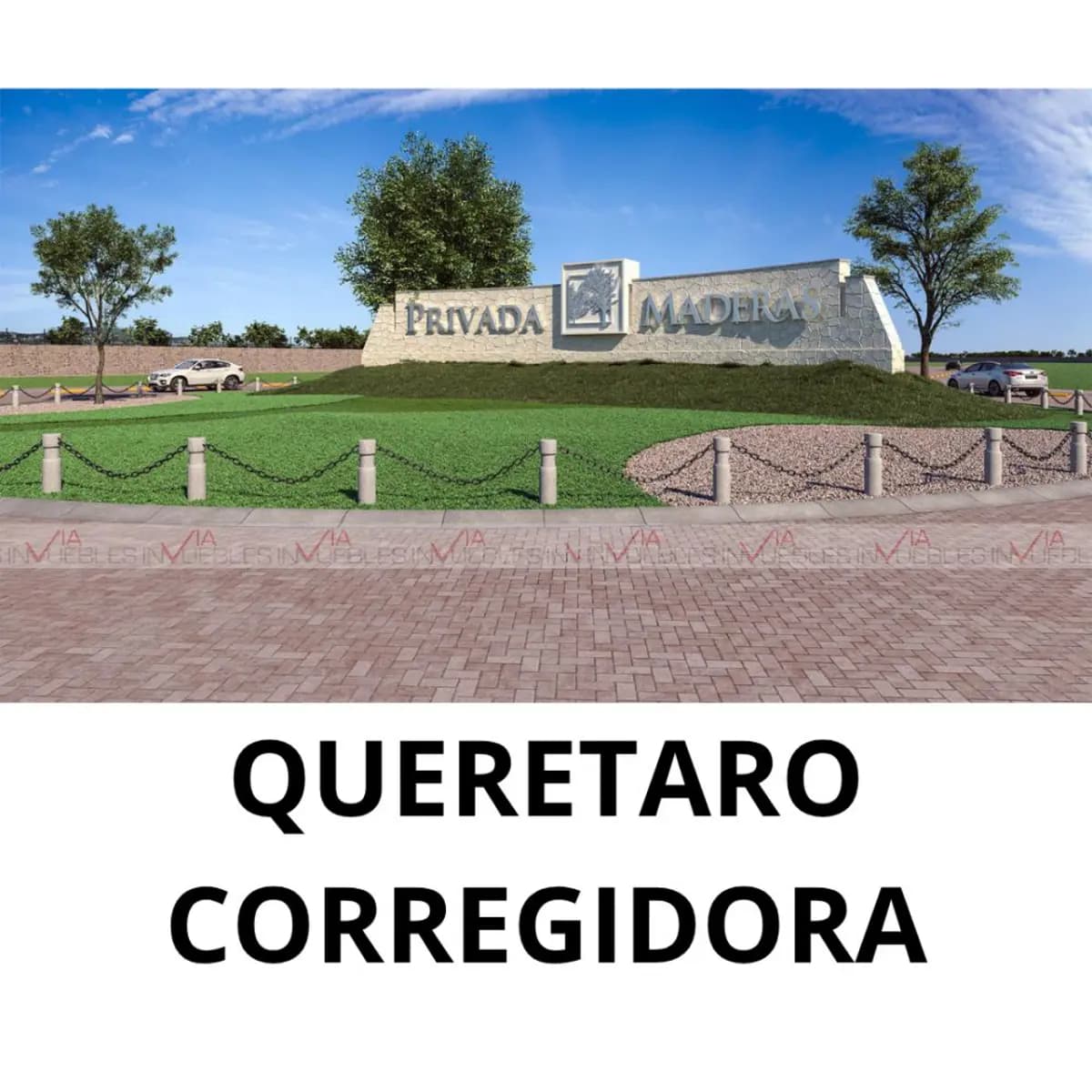 Fotos adicionales
