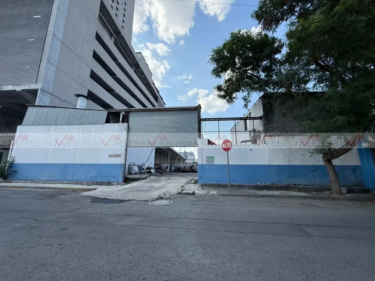 Fotos adicionales