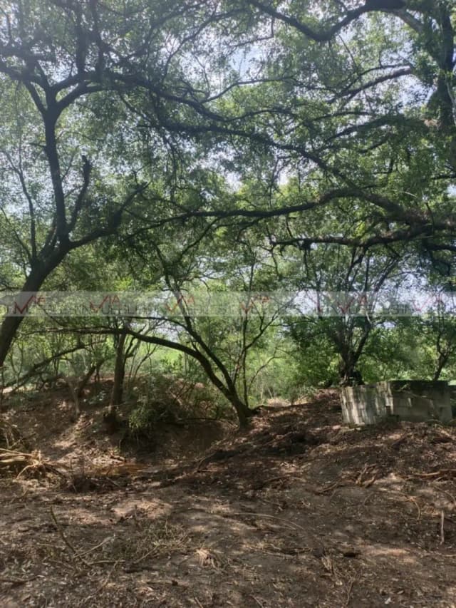 Terreno en Venta en Canoas, Montemorelos, Nuevo León