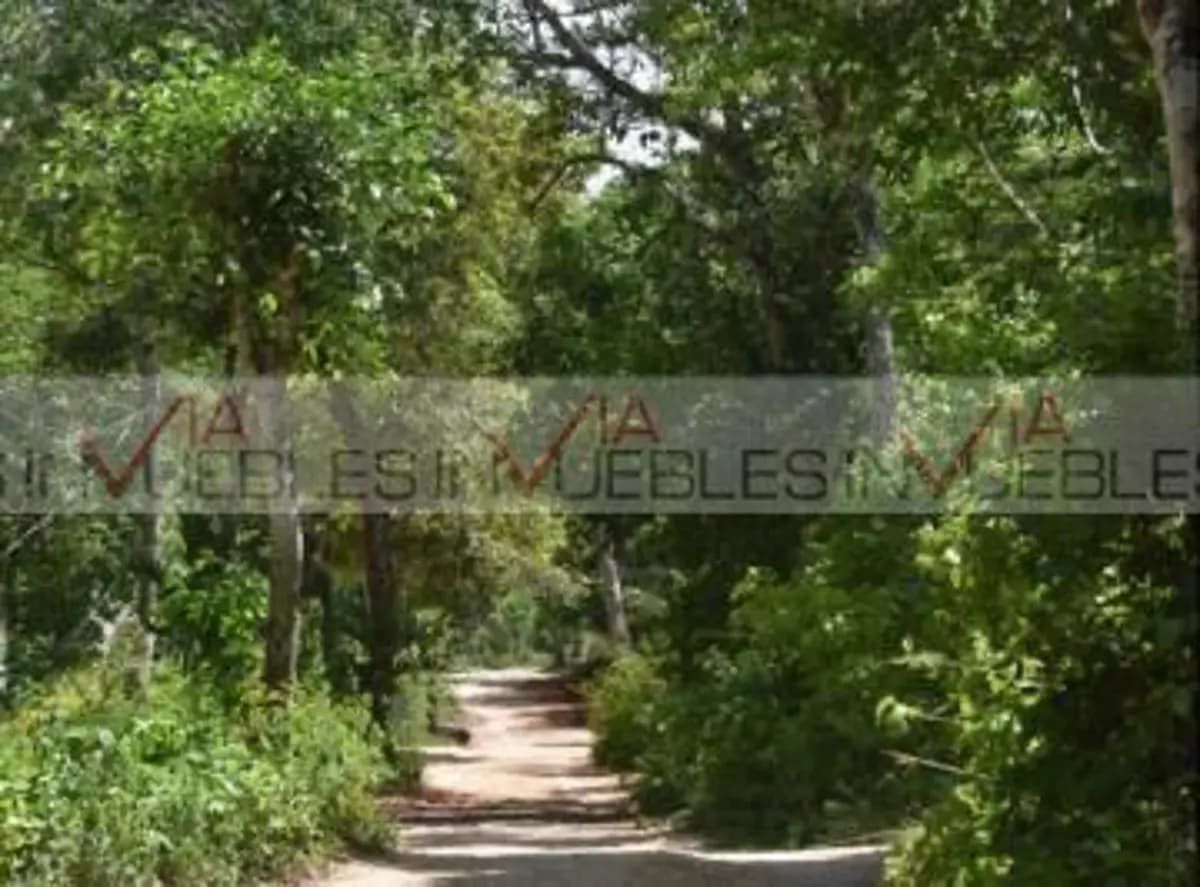 Fotos adicionales