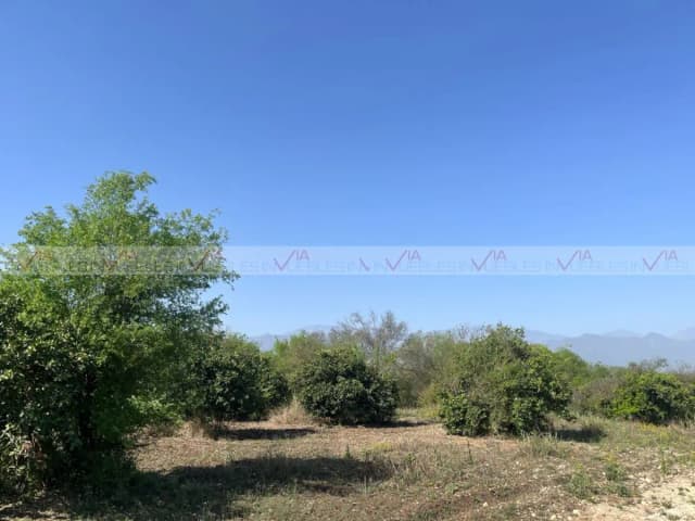 Terreno en Venta en Congregación Calles, Montemorelos, Nuevo León