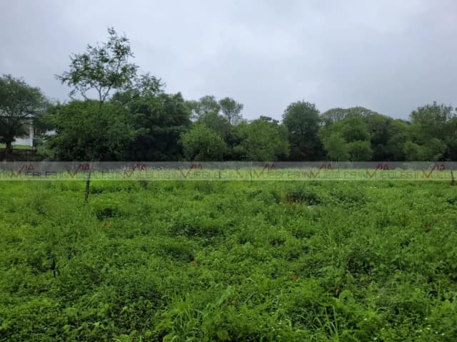 Terreno en Venta en Congregación Calles, Montemorelos, Nuevo León