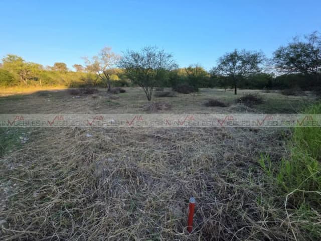 Terreno en Venta en Montemorelos Centro, Montemorelos, Nuevo León