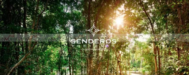 Terreno en Venta en Ciudad Mayakoba, Playa del Carmen, Quintana Roo