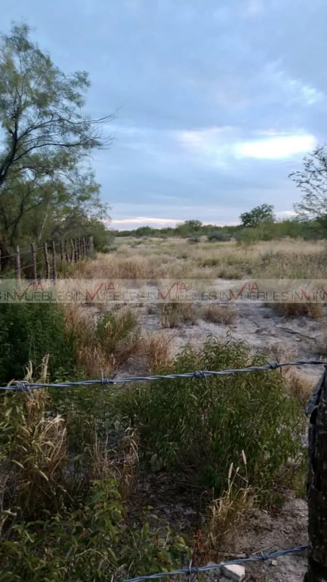 Fotos adicionales