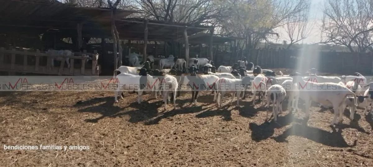 Fotos adicionales