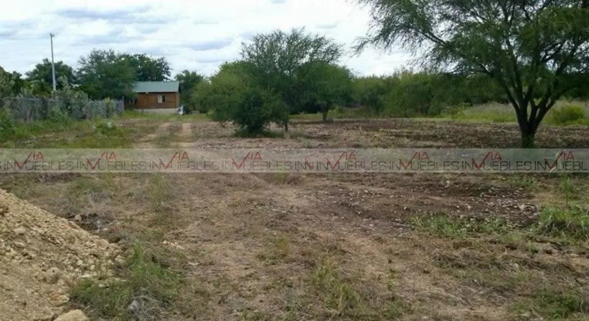 Fotos adicionales