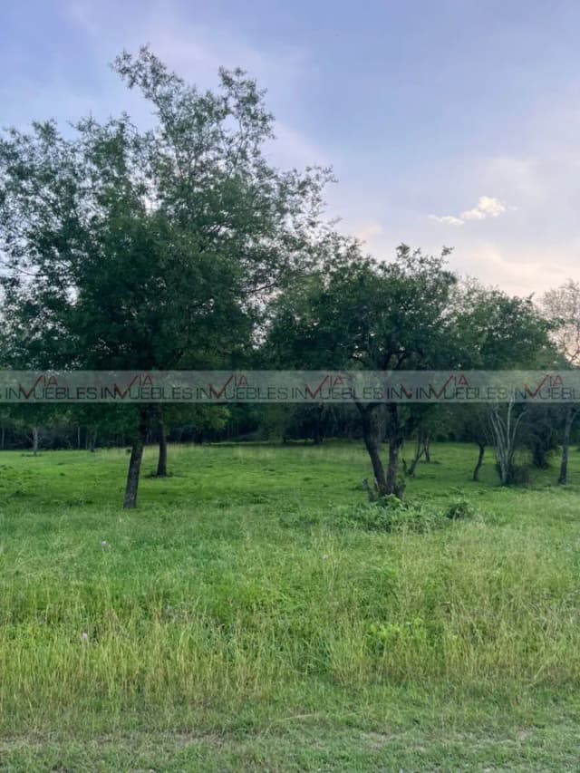 Terreno en Venta en El Pastor, Montemorelos, Nuevo León