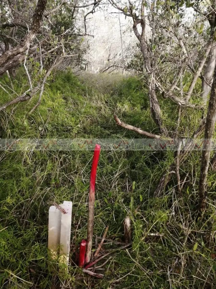 Fotos adicionales