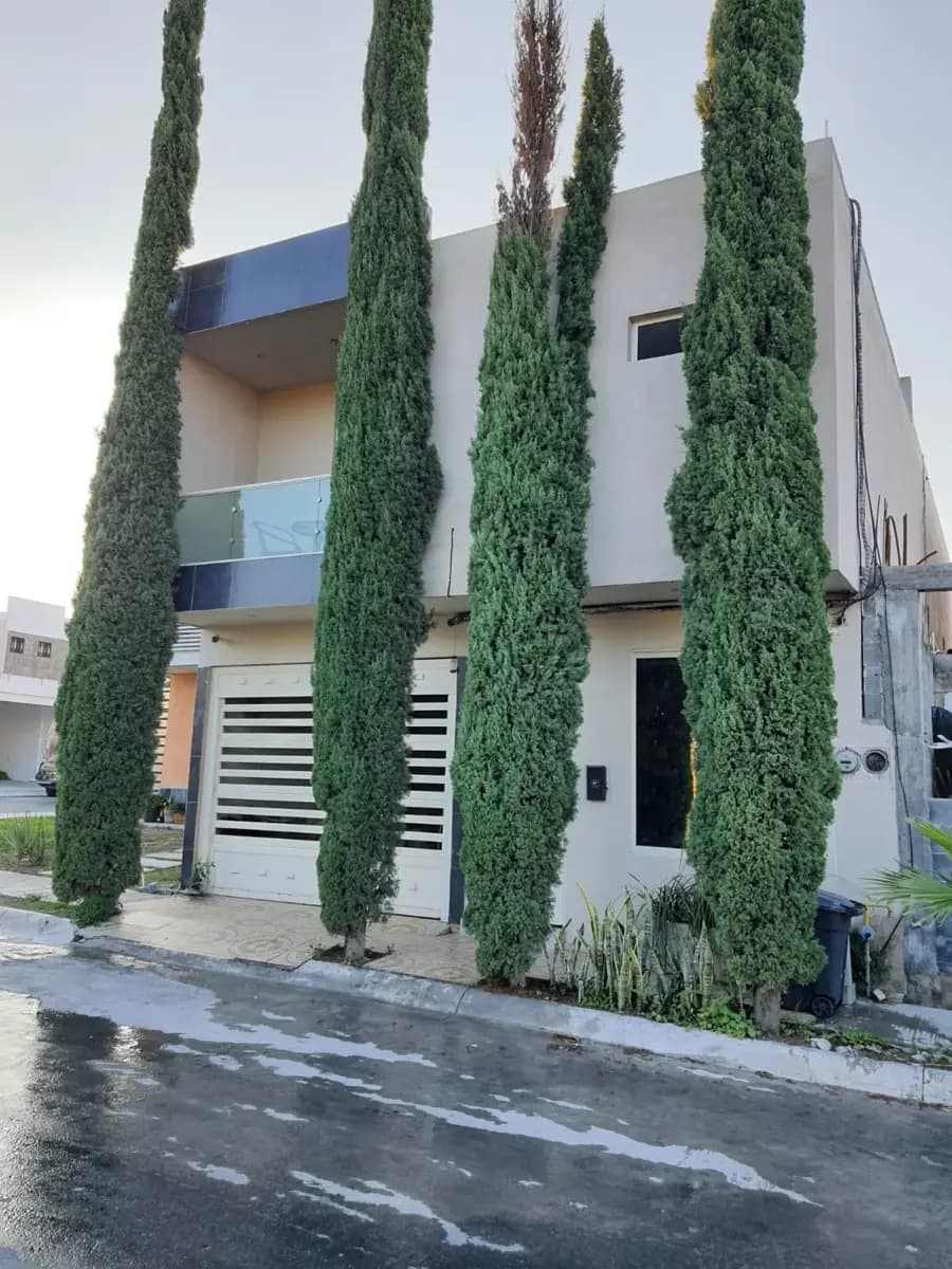 Fotos adicionales
