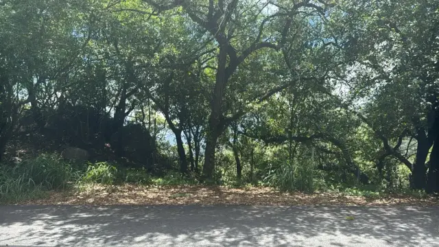 Terreno en Venta en Bosques de San Ángel Sector Palmillas, San Pedro Garza García, Nuevo León