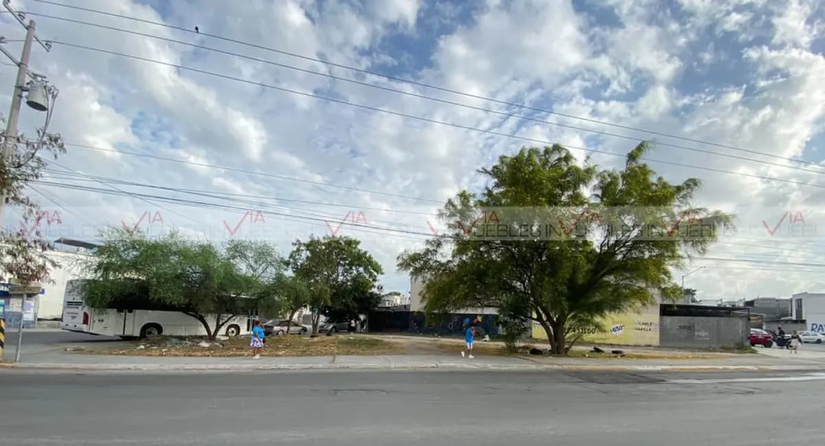 Fotos adicionales
