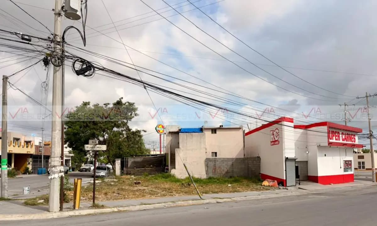 Fotos adicionales
