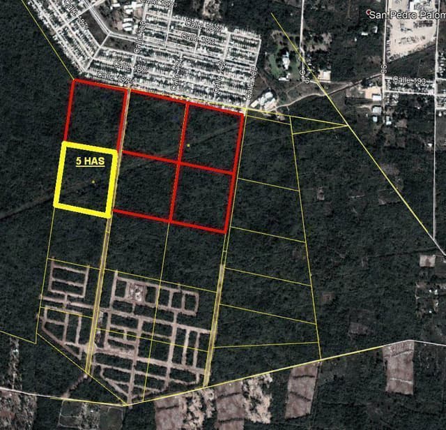 Hectáreas en venta- Santa Cruz Palomeque