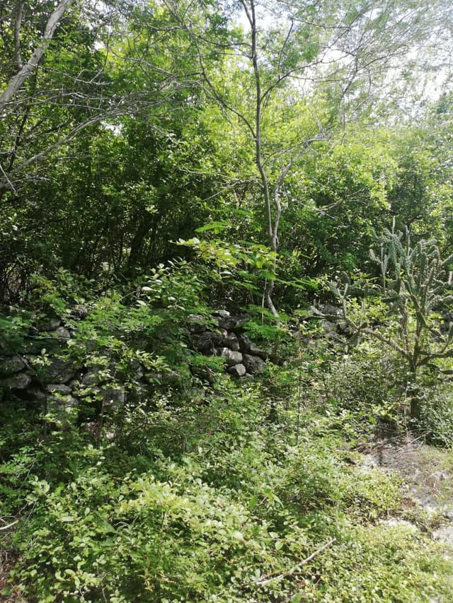 Venta de terreno en Mérida, Dzitya