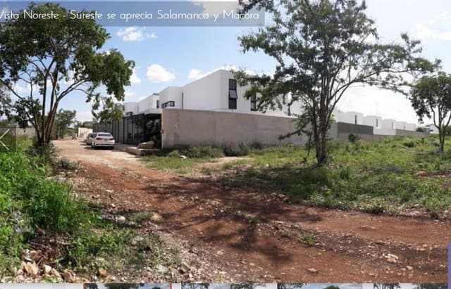 Terreno - Pueblo Cholul