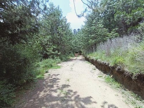 La Viga, Naucalpan de Juárez