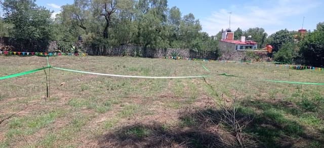 Cerrada de Avenida de las Torres 34, Col Santa María Tepepan, CP: 16020, Xochimilco, Ciudad de México