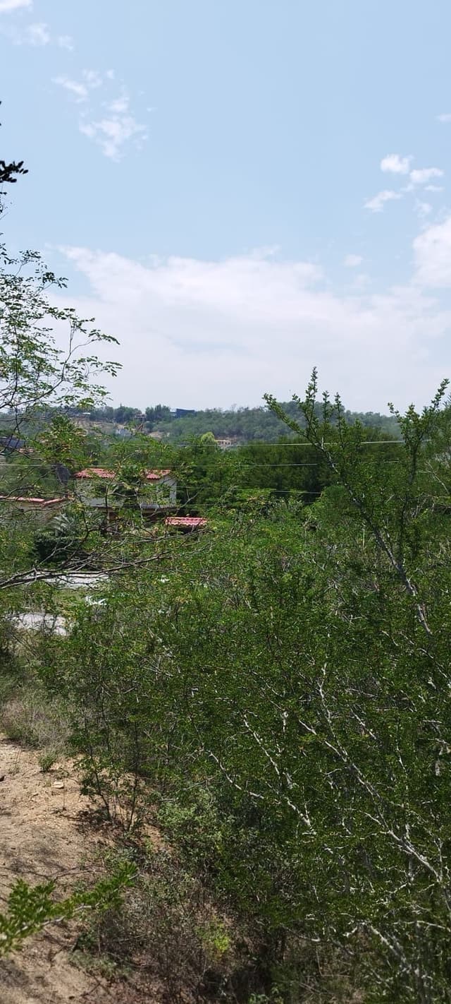 Terreno Campestre en Venta Valle del Rio - Montemorelos NL