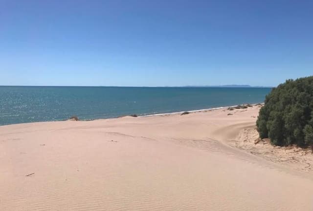 Terreno en venta en Sahuimaro, Hermosillo