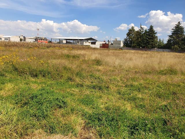 San Pedro Totoltepec, Toluca, Estado De México