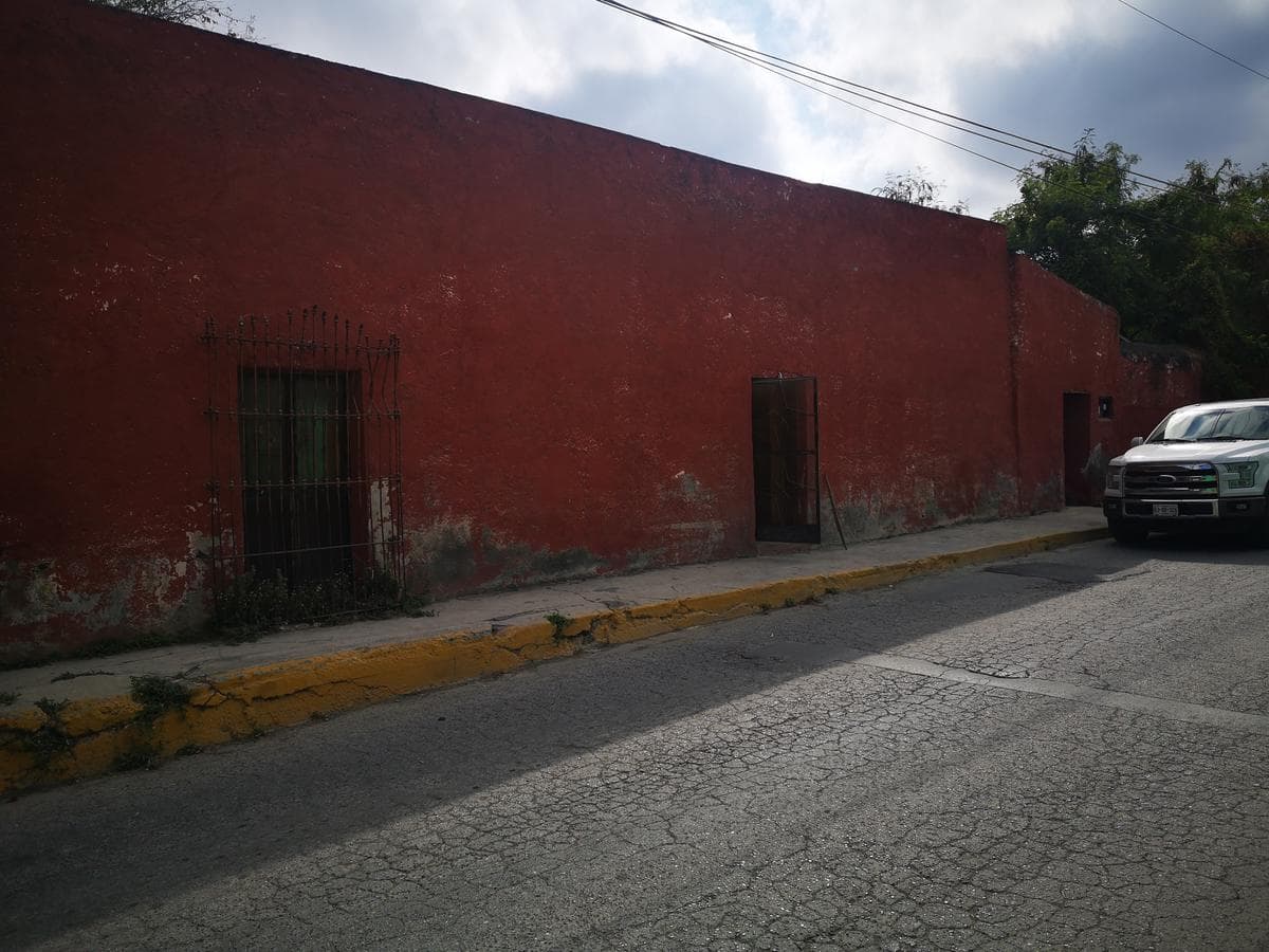 Fotos adicionales
