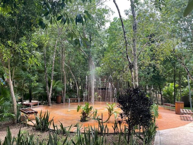 Solidaridad Boulevard Playa del Carmen kilómetro 299, 77712 Playa del Carmen, Q.R.