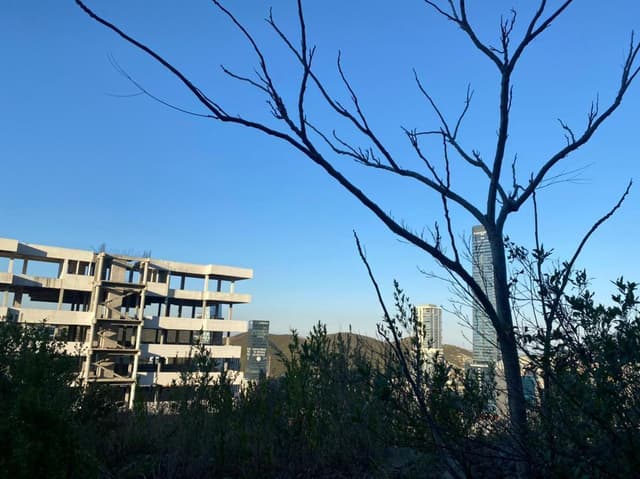 Balcones del Campestre 66278 San Pedro Garza García, N.L.