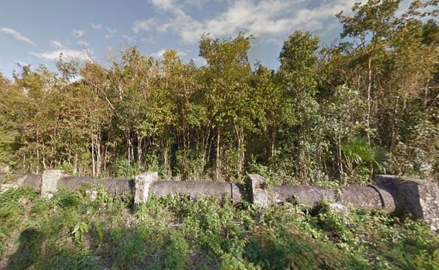 XW62+3C9 Leona Vicario, Quintana Roo