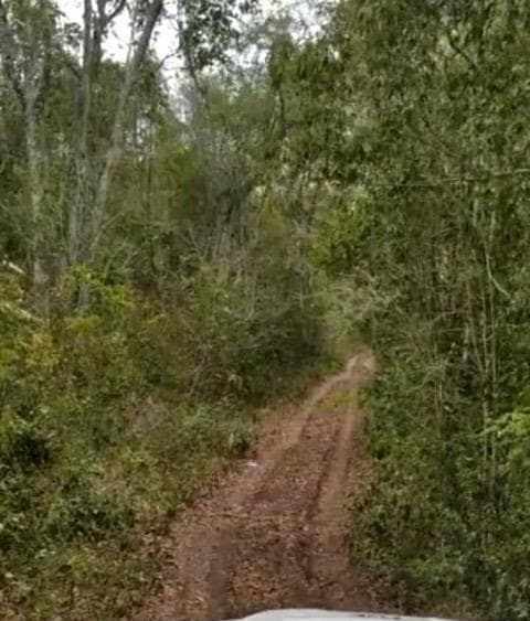 Terreno en venta en Bacalar