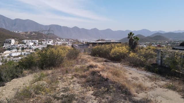 Bosques de Valle Alto 64989 Monterrey, N.L.