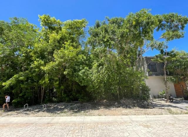 Solidaridad Boulevard Playa del Carmen kilómetro 299, 77712 Playa del Carmen, Q.R.