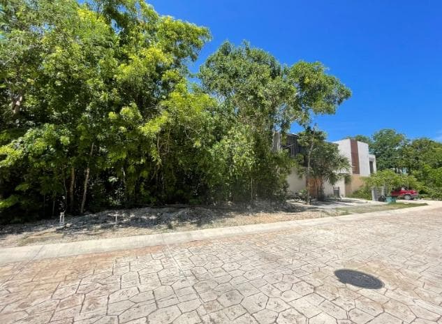 Solidaridad Boulevard Playa del Carmen kilómetro 299, 77712 Playa del Carmen, Q.R.