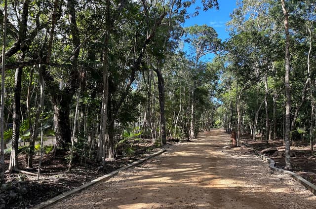 Construye tu Casa Ideal en la Próspera Comunidad de Tulum – Lotes Exclusivos Disponibles