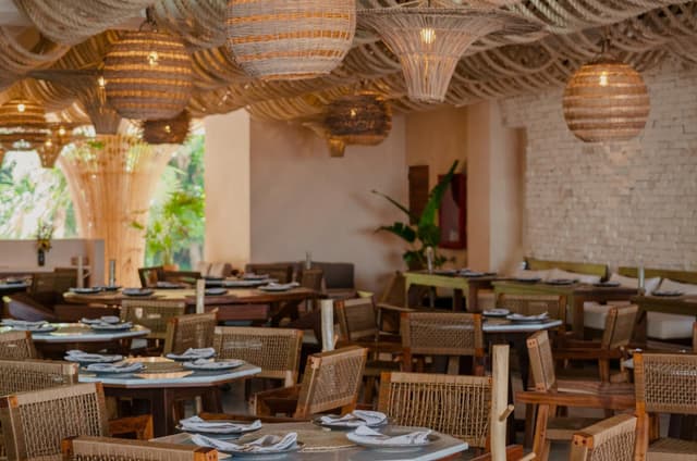 Abraza la Paz y la Naturaleza: Lotes Residenciales en la Mejor Comunidad de Tulum