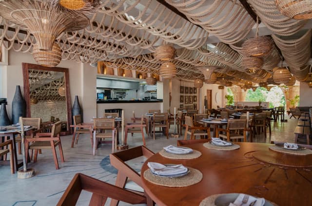 Tu Futuro Comienza Aquí: Lotes Prime en Venta en Tulum