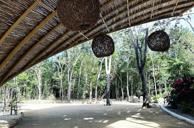 Tu Futuro Comienza Aquí: Lotes Prime en Venta en Tulum