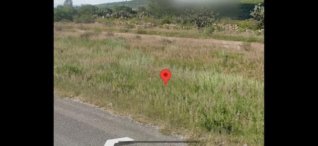PUERTA DE PALMILLAS EN SAN JUAN DEL RIO, QUERETARO.