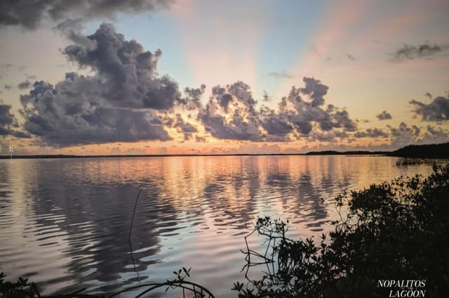Casa Nova: Villa de 8 Recámaras con Albercas & Jacuzzi en Cada Habitación en el Refugio Sereno de Tulum