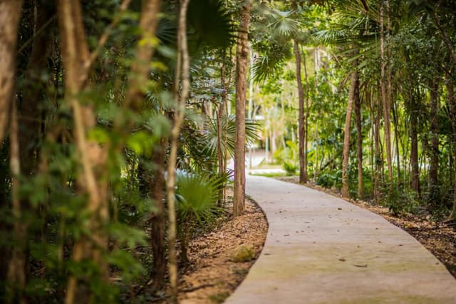 LOTE CON EXCELENTE UBICACION | CIUDAD MAYAKOBA | PLAYA DEL CARMEN