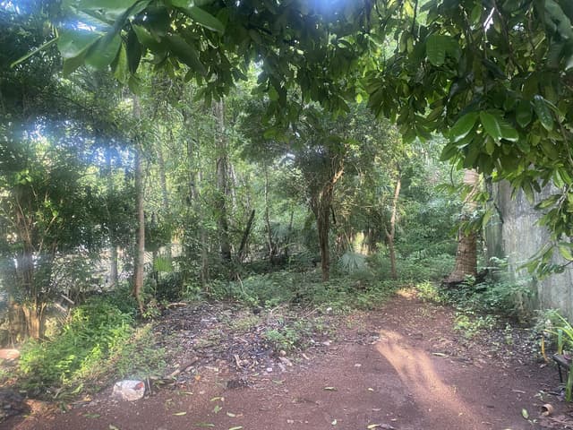 VENTA TERRENO ESCRITURADO EN LEONA VICARIO